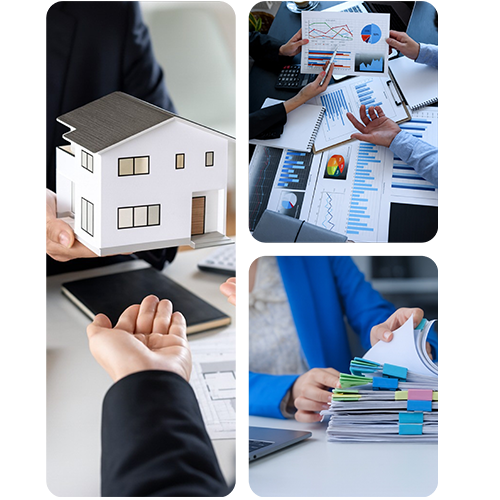company profile